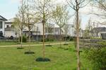 Grundstück Ludwigsfelde Ahrensdorf - 248.000&euro; | Angebot:26393444