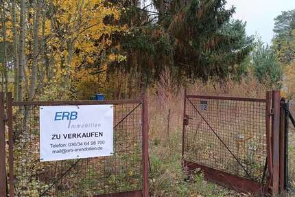 Grundstück Königs Wusterhausen OT Zeesen Zeesen - 373.000&euro; | Angebot:25894409