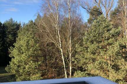 Gewerbeobjekt Zühlsdorf Zühlsdorf - 720&euro; | Angebot:27525839