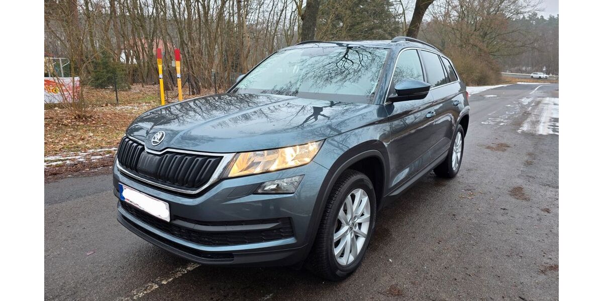 Skoda Kodiaq 183.381 km 17.499 &euro; Mittenwalde 15749