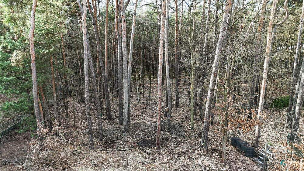 Grundstück Potsdam Groß Glienicke - 480.000&euro; | Angebot:25850178