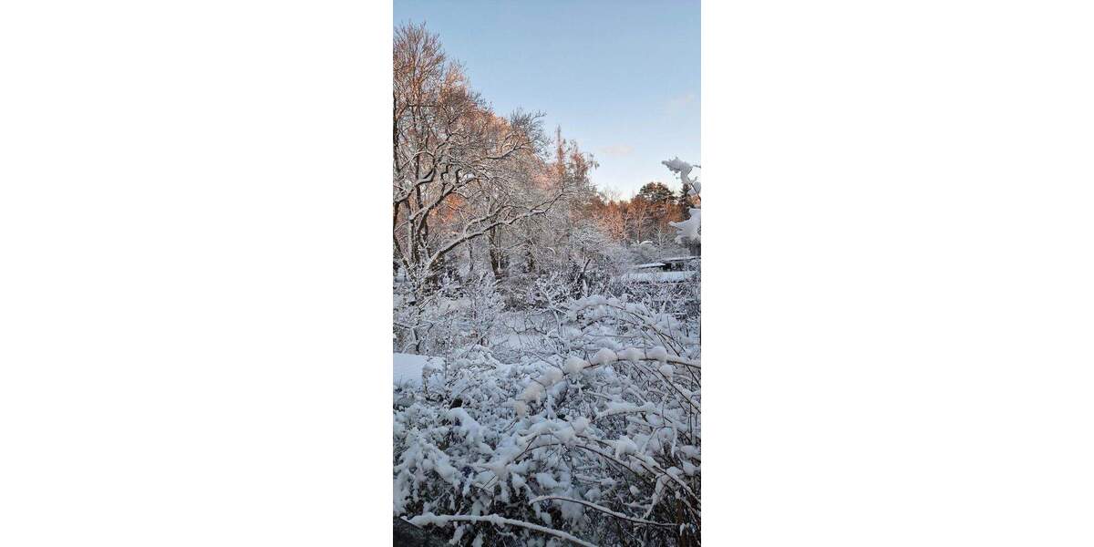 Einfamilienhaus Berlin Wilhelmshagen - 6 Zimmer, 200 m&sup2;, 925.000&euro; | Angebot:25696062