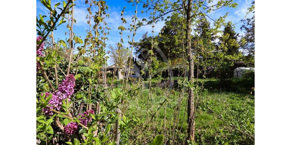 Ca. 2.195 m² - Entwicklungsgrundstück mit Altbestand in Petershagen - Grundstück Petershagen-Eggersdorf Eggersdorf | Angebot:27086493