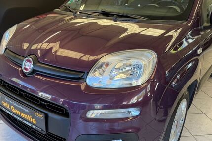 Fiat Panda 98.000 km 8.800 &euro; Berlin 13158