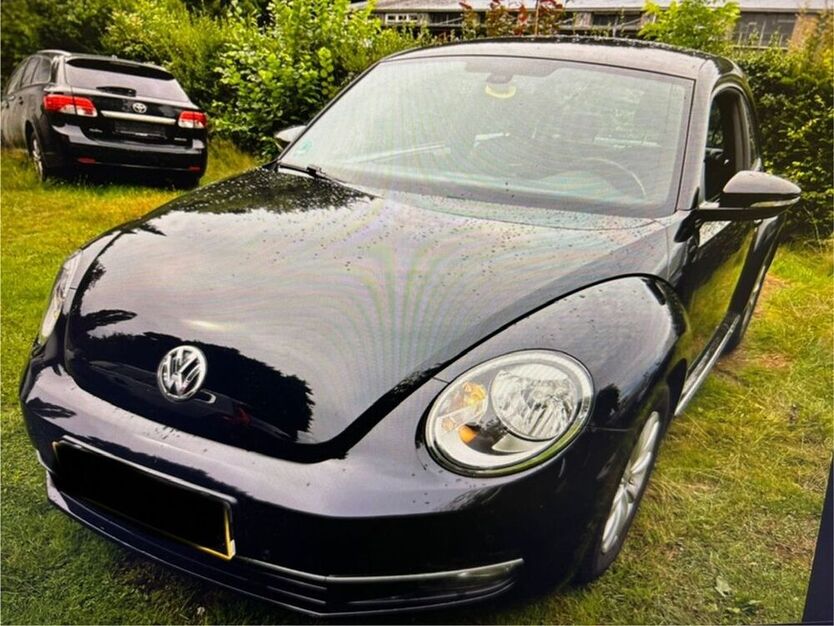 Beetle
