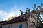 Einfamilienhaus Schönefeld - 5 Zimmer, 133 m&sup2;, 579.000&euro; | Angebot:26396797