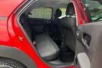 C4 Cactus
