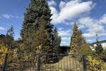 Grundstück Berlin-Pankow Buch - 155.000&euro; | Angebot:26220533