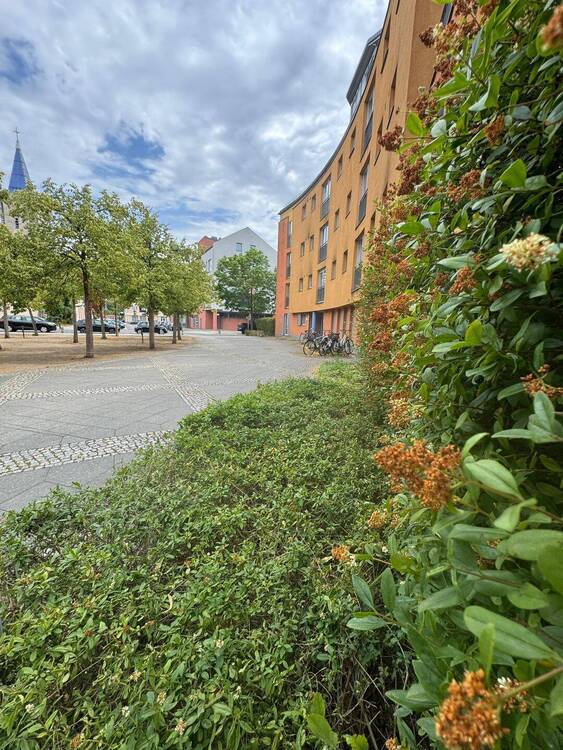 Investment-Chance: 3-Zimmer-Wohnung mit Sonnen-Loggia
