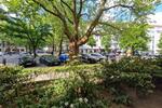 Erdgeschoßwohnung Berlin Charlottenburg-Wilmersdorf - 1 Zimmer, 40 m&sup2;, 1.250&euro; | Angebot:26222685
