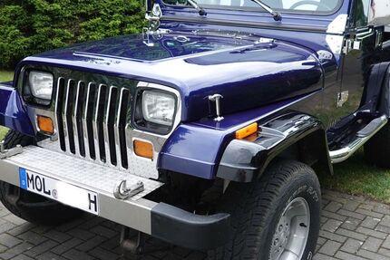 Jeep Wrangler 221.000 km 19.900 &euro; Neuenhagen bei Berlin 15366