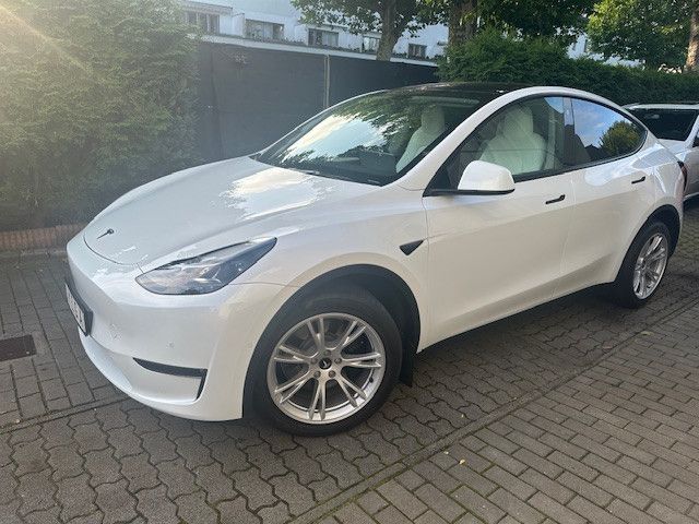 Model Y
