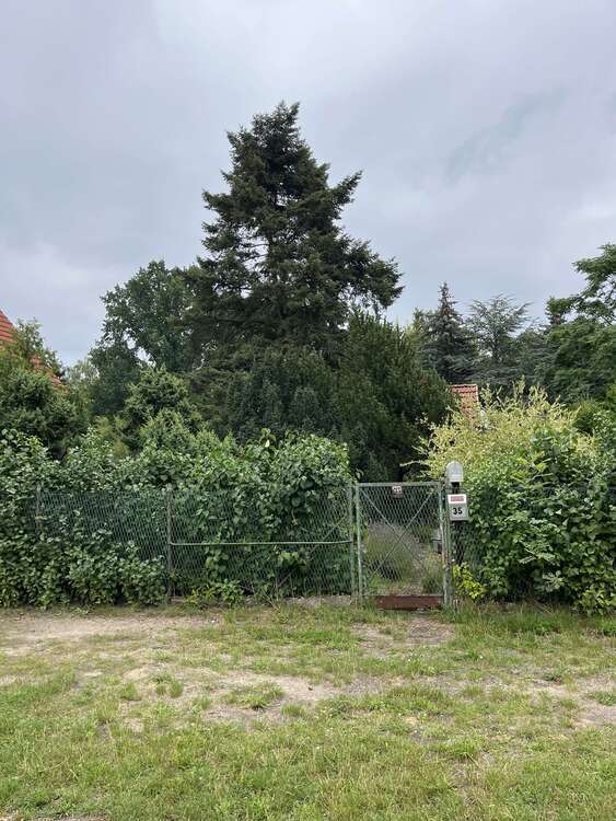 Haus zum Kaufen in Schulzendorf 245.000 € 34 m²