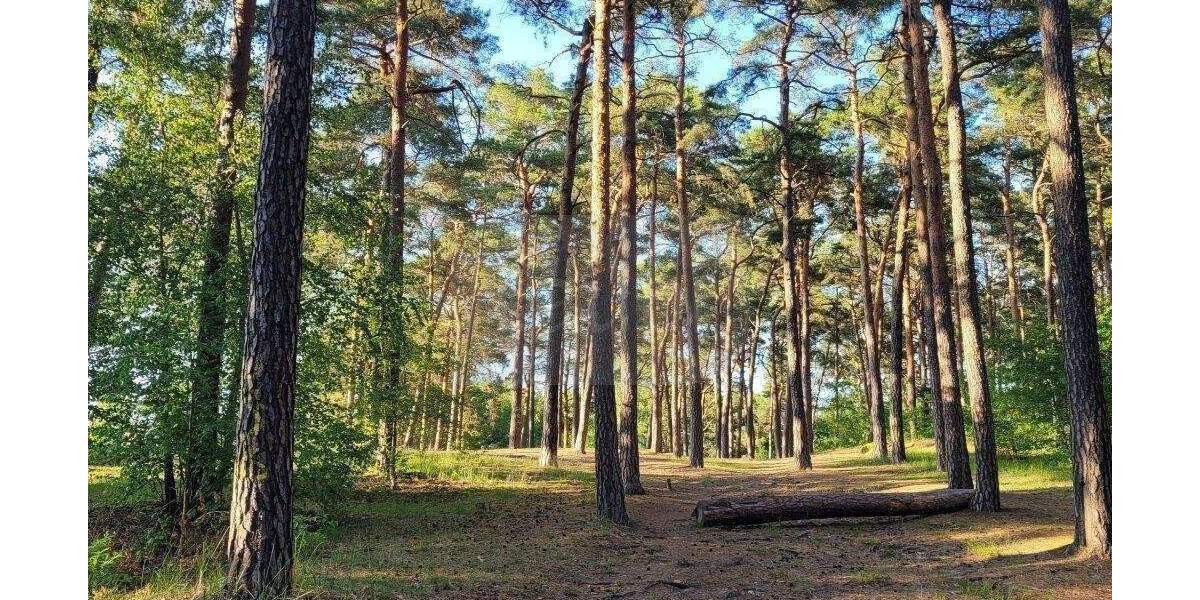 Grundstück Berlin Müggelheim - 119.000&euro; | Angebot:25732349