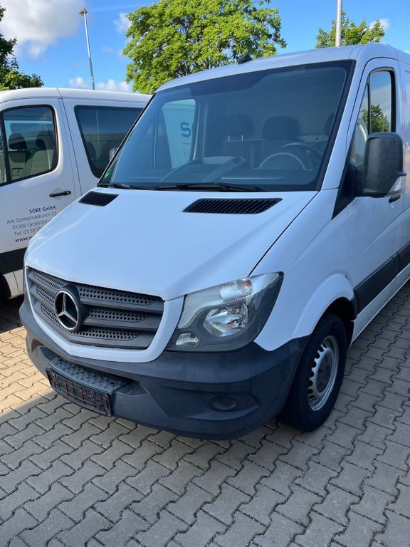 Sprinter