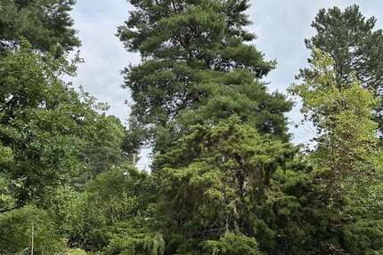 Grundstück zu verkaufen in Berlin 399.000 € 1022 m² zimmer