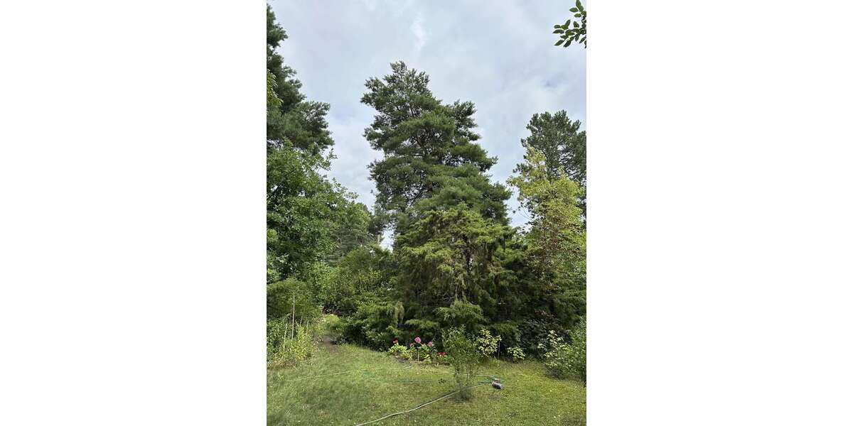 Grundstück zu verkaufen in Berlin 399.000 € 1022 m² zimmer