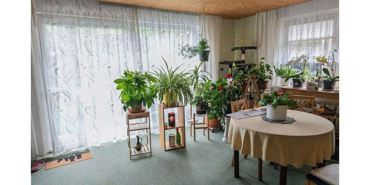 Bungalow Schöneiche bei Berlin - 3 Zimmer, 95 m&sup2;, 398.000&euro; | Angebot:25774859