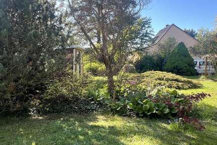 Grundstück Zeuthen - 329.000&euro; | Angebot:26402697