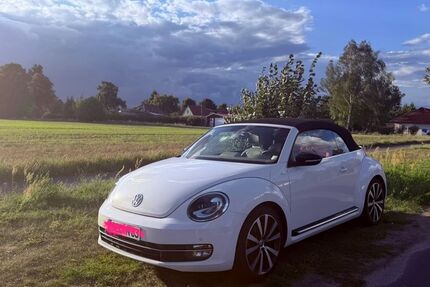 VW Beetle 81.700 km 19.900 &euro; Altlandsberg 15345
