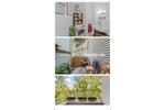 Etagenwohnung Berlin Pankow - 2 Zimmer, 75 m&sup2;, 800&euro; | Angebot:26687702