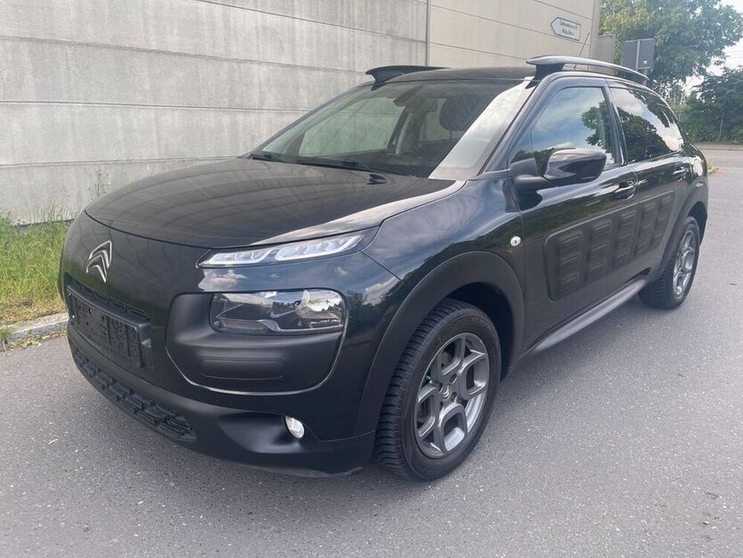 C4 Cactus