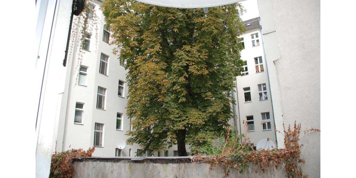 Erdgeschoßwohnung Berlin Charlottenburg-Wilmersdorf - 2 Zimmer, 46 m&sup2;, 250.000&euro; | Angebot:26109394