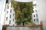 Erdgeschoßwohnung Berlin Charlottenburg-Wilmersdorf - 2 Zimmer, 46 m&sup2;, 250.000&euro; | Angebot:26109394