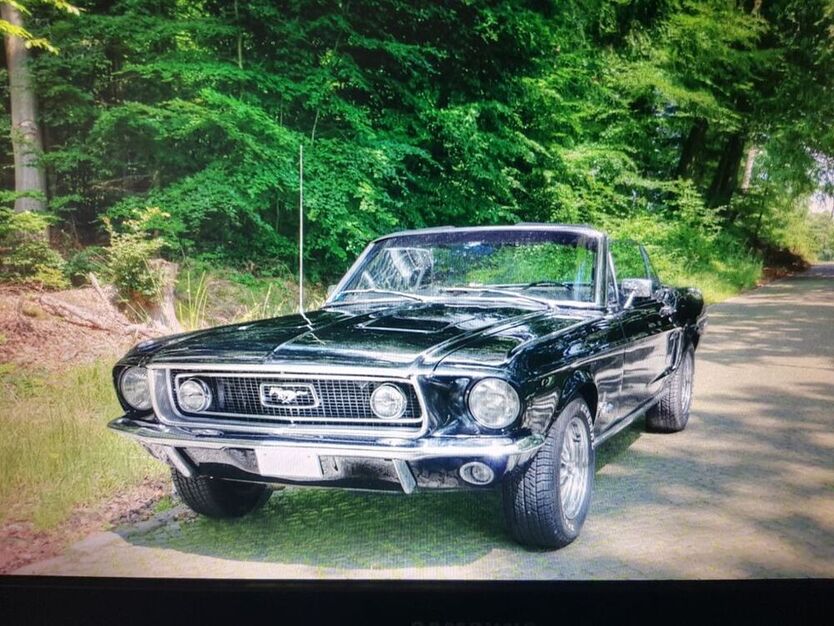 Mustang