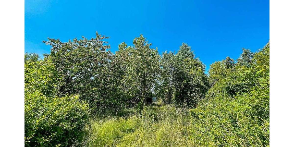 Wassergrundstück! Idyllisches Anwesen direkt am Haussee zimmer