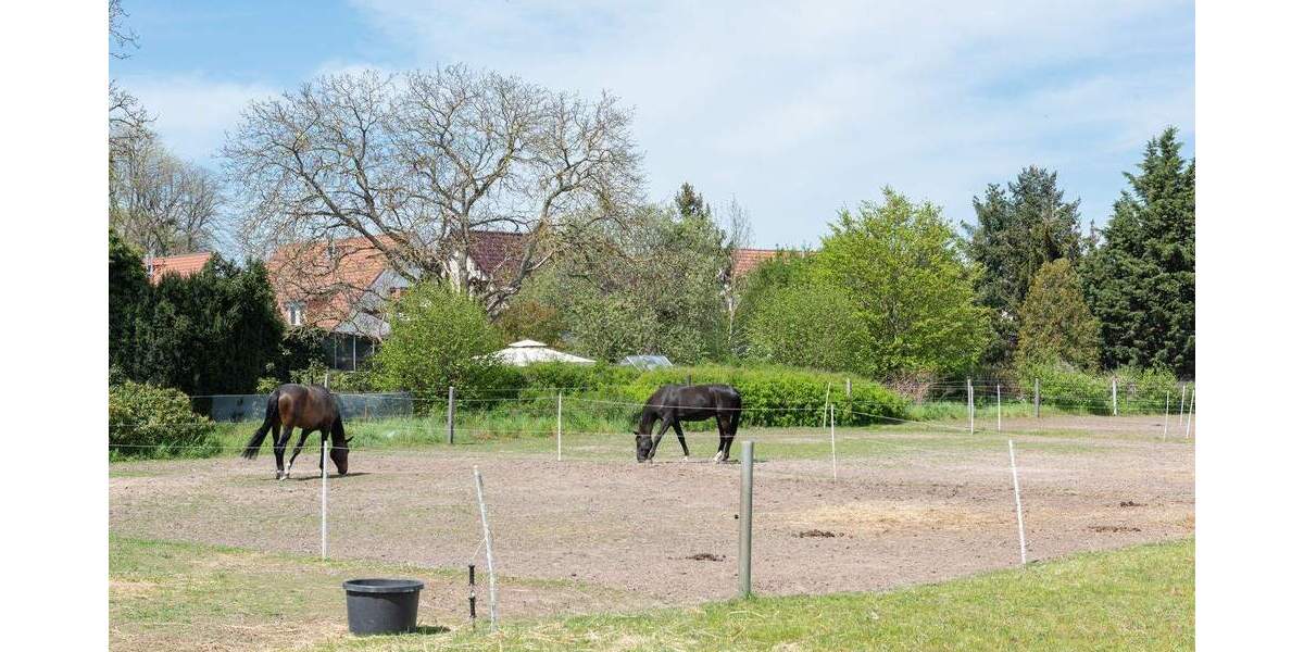 Reihenendhaus Dallgow-Döberitz Dallgow - 4 Zimmer, 117 m&sup2;, 480.700&euro; | Angebot:24586528