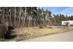 EXCLUSIV UND VOLL ERSCHLOSSEN - Grundstück Borgsdorf Borgsdorf | Angebot:27229288