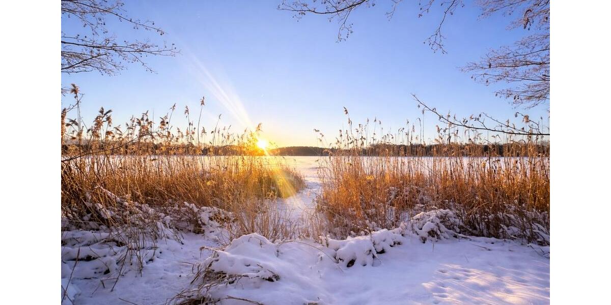 Doppelhaushälfte Ludwigsfelde - 5 Zimmer, 160 m&sup2;, 450.000&euro; | Angebot:24785946