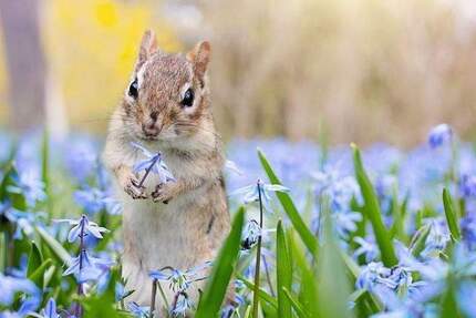 Wohnung Berlin Charlottenburg - 3 Zimmer, 79 m&sup2;, 1.140&euro; | Angebot:25374066