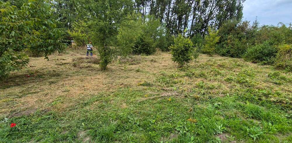 Bauträgerfreies Eckgrundstück in Schönefeld - Anlageobjekt Schönefeld | Angebot:24730652