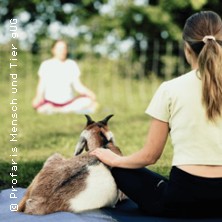 Yoga mit Schafen & Ziegen in der Natur 05.09.2026 Profaris Mensch und Tier
