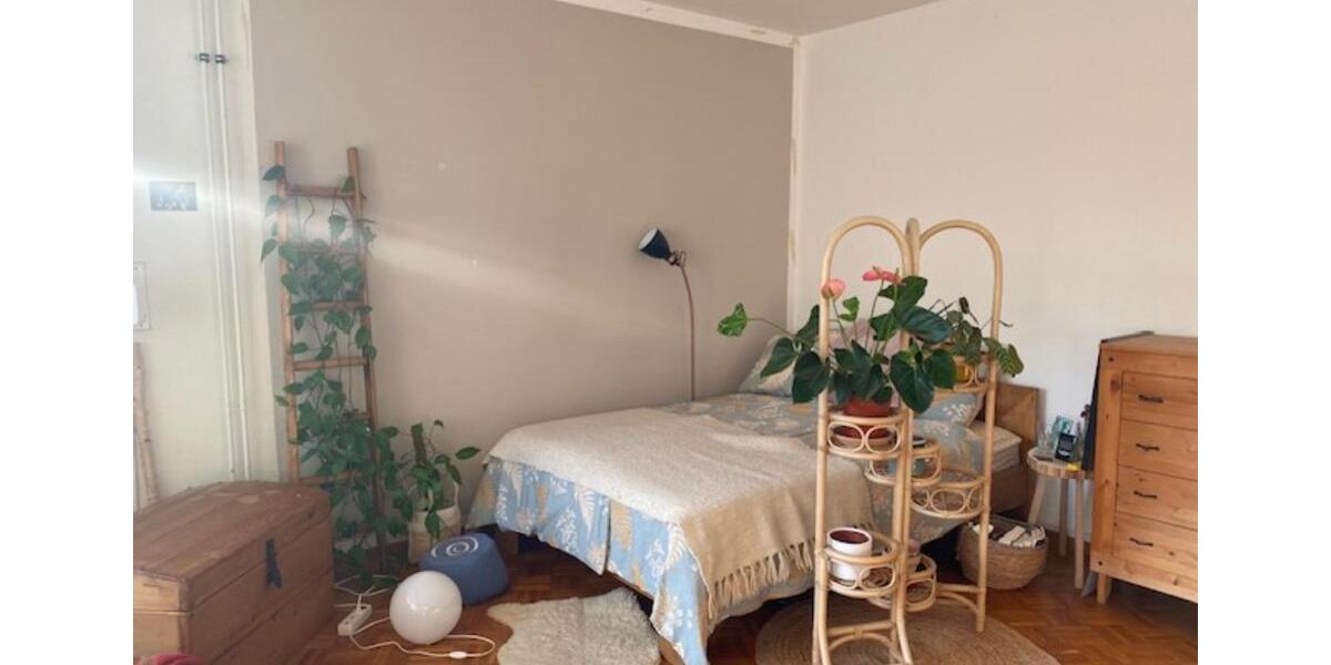 Erdgeschoßwohnung Berlin Steglitz-Zehlendorf - 1 Zimmer, 54 m&sup2;, 600&euro; | Angebot:24866506