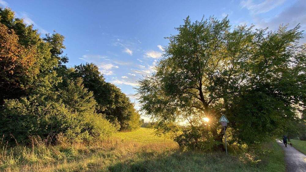 Doppelhaushälfte Berlin Stadtrandsiedlung Malchow - 3 Zimmer, 87 m&sup2;, 1.590&euro; | Angebot:24725241