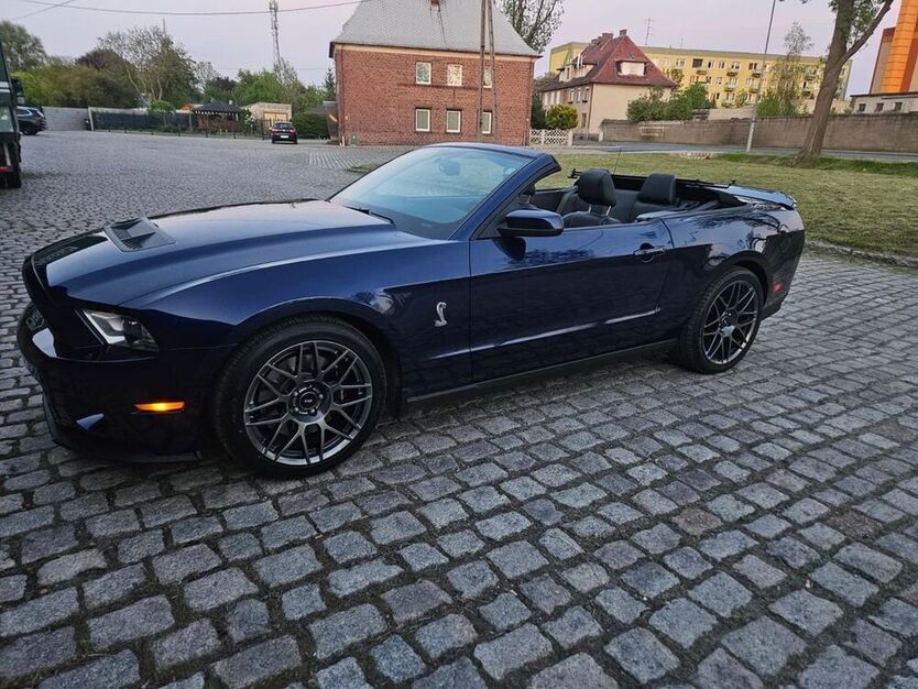 Mustang