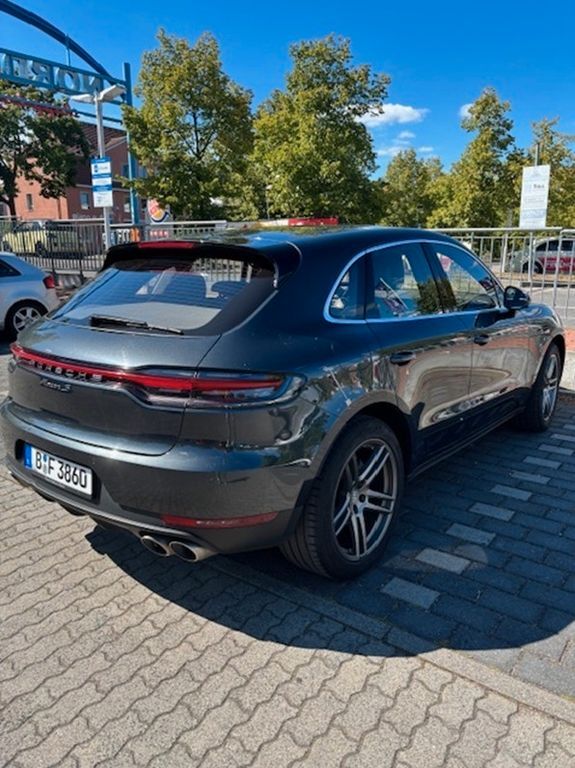 Macan