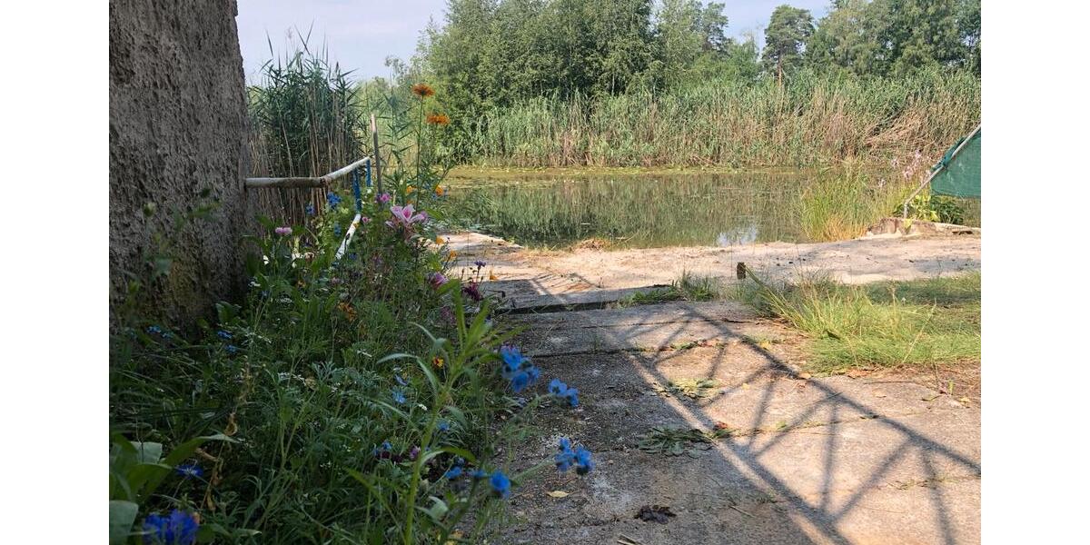 Bungalow Berlin Friedrichshain-Kreuzberg - 2 Zimmer, 30 m&sup2;, 47.000&euro; | Angebot:26133728