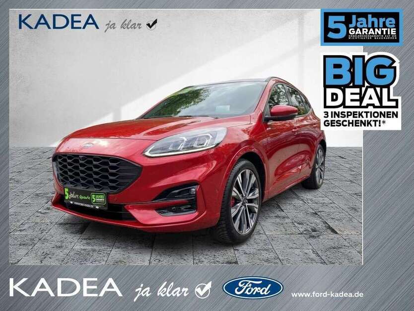 Kuga