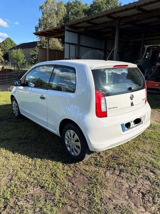 Citigo