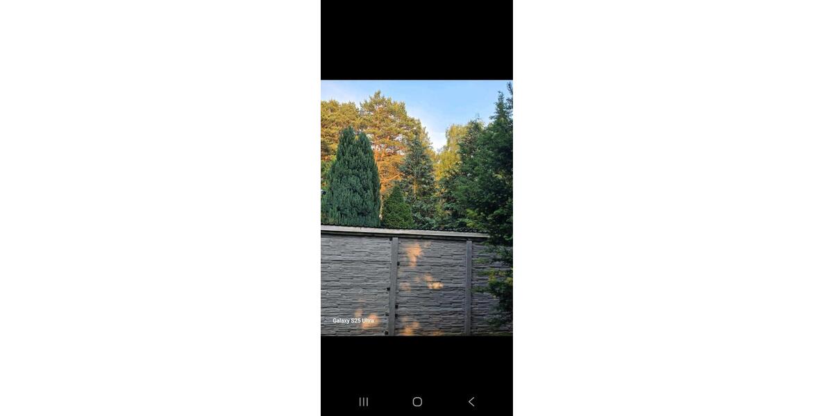 Einfamilienhaus Mittenwalde - 3 Zimmer, 80 m&sup2;, 1.500&euro; | Angebot:24816938