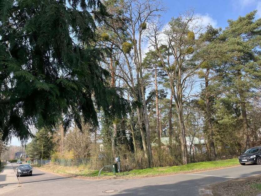 Leerstehendes Reihenendhaus: 100m² groß + ruhig im Grünen gelegen, Falkensee, nahe Potsdam + Berlin 4 zimmer