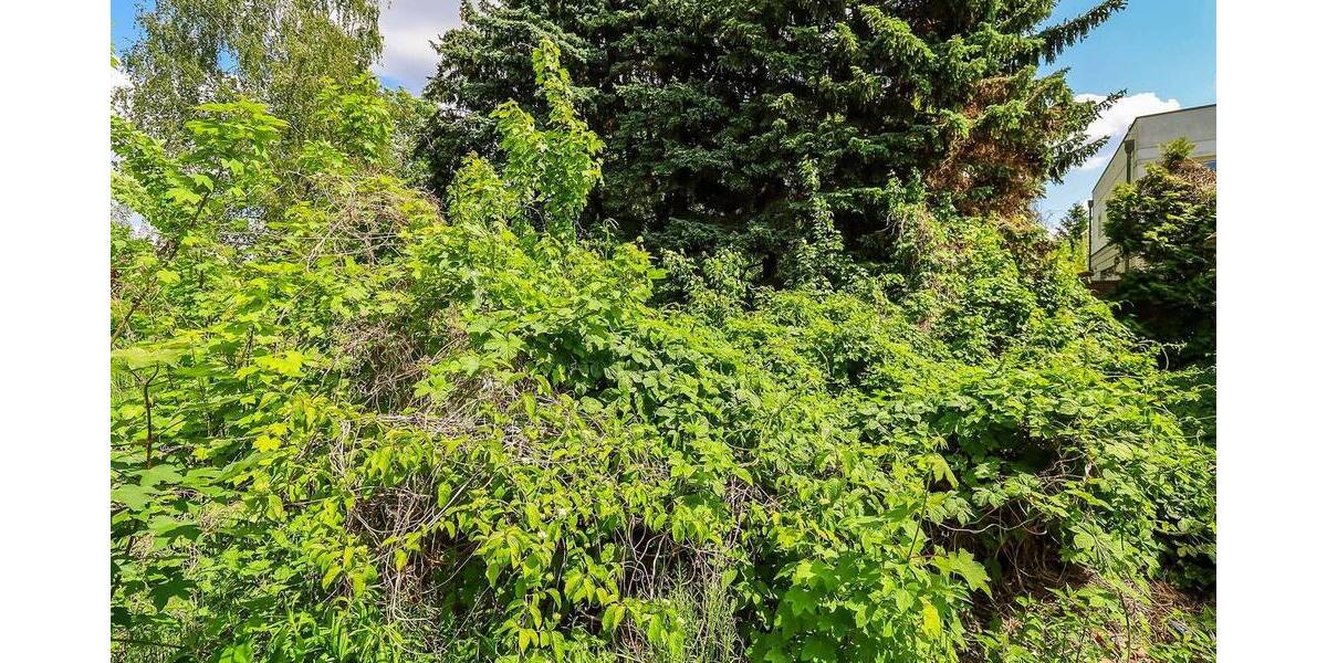 Grundstück Berlin Altglienicke - 1.500.000&euro; | Angebot:24027026