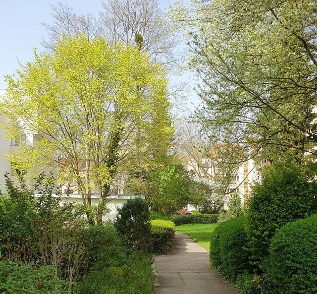 Etagenwohnung Berlin Lankwitz - 3 Zimmer, 61 m&sup2;, 320.000&euro; | Angebot:22601771