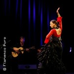Flamenco Puro - Flamenco