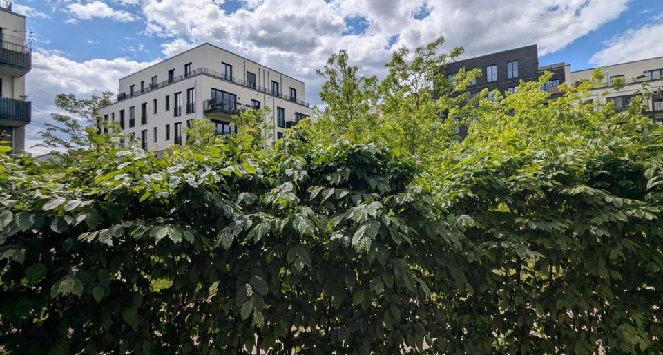Erdgeschoßwohnung Berlin Reinickendorf - 5 Zimmer, 13 m&sup2;, 550&euro; | Angebot:25856931