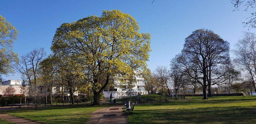 Etagenwohnung Berlin Grünau - 3 Zimmer, 82 m&sup2;, 504.500&euro; | Angebot:25760541